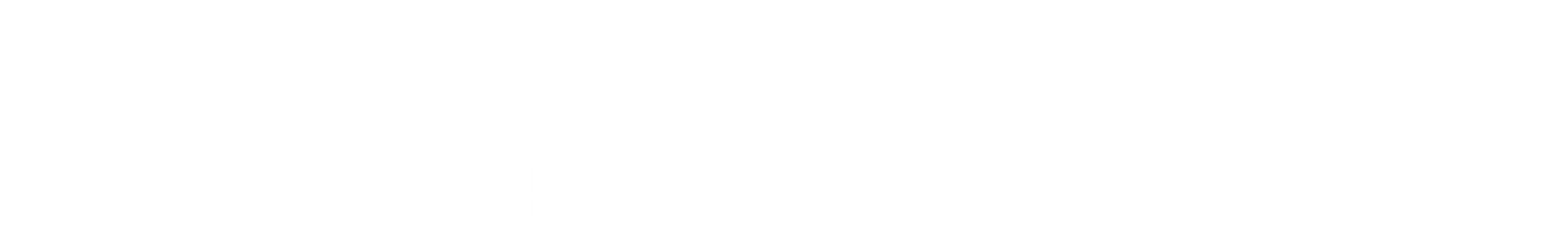 CitiPro-Security-Security-Company-Guards-Patrol